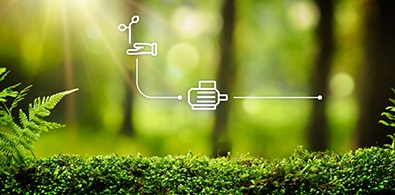 Energy efficiency movement