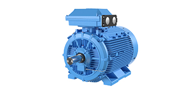 Low voltage Process performance motors