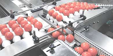 industries-vegetables