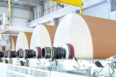 pulp-and-paper-drives-390x260