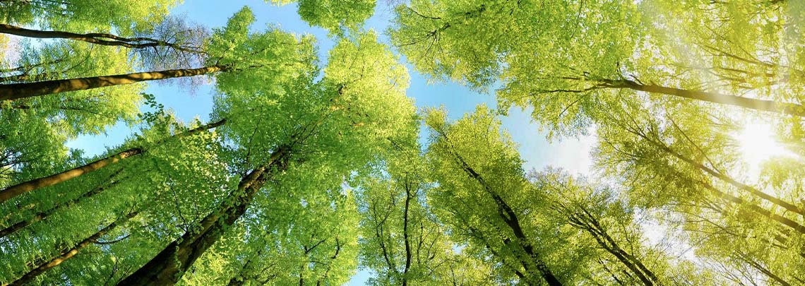 pama_web_banner_main-page_sustainability-campaign_1140x405